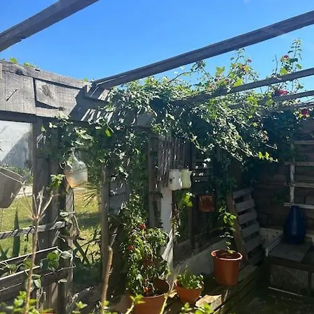 Quinta Felicidade - Sea&surf