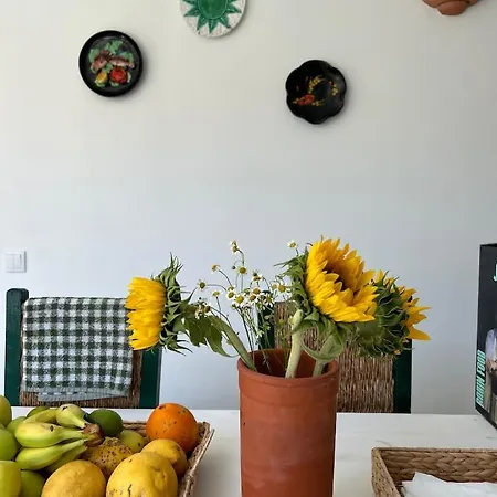 Villa Quinta Felicidade - Sea&surf