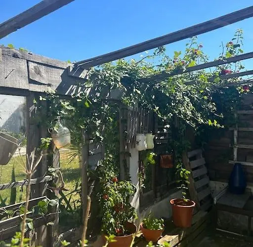 Quinta Felicidade - Sea&surf